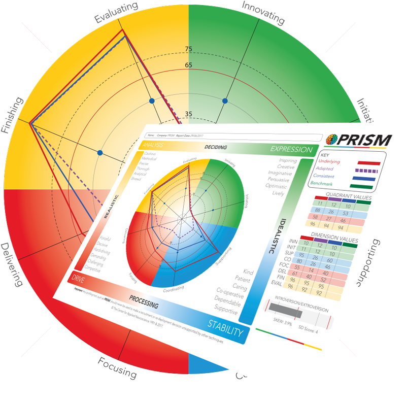 PRISM Brain Map